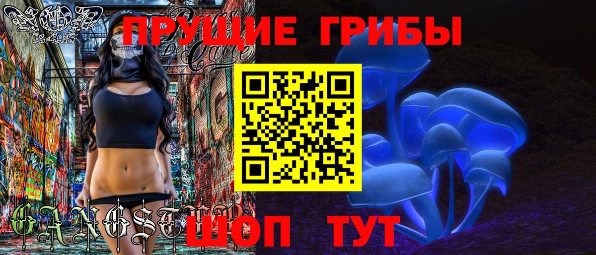 Псилоцибиновые грибы GOLDEN TEACHER Борисоглебск