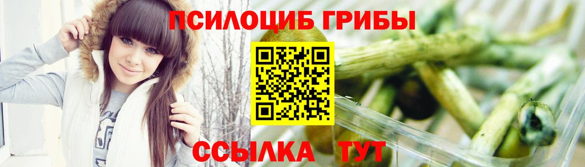 Борисоглебск  Псилоцибиновые грибы Psilocybe  Вход с VPN  Галлюциногенные грибы мицелий 
